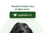 CaptainVet